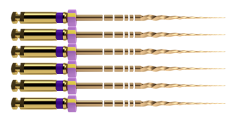 Protaper Gold™ S2|25mm (6)