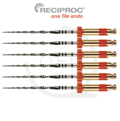 RECIPROC® R25|25mm (6)