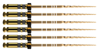 Protaper Gold™ F4|21mm (6)