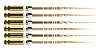 Protaper Gold™ S1|21mm (6)