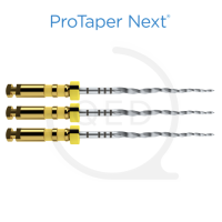 ProTaper Next™ X5|21mm (3)