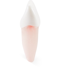 Real-T-Endo™ #8 Incisor (UR1)